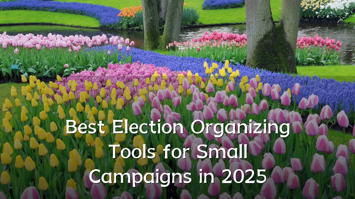 Best Election Organizing Tools for Small Campaigns in 2025