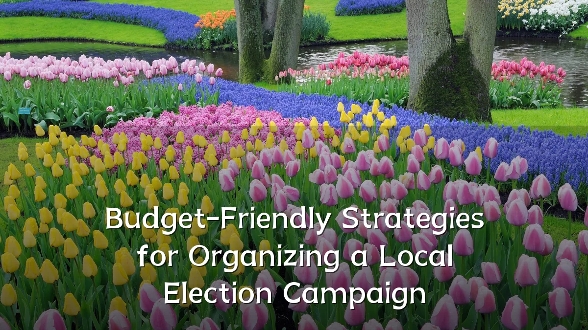 Budget-Friendly Strategies for Organizing a Local Election Campaign
