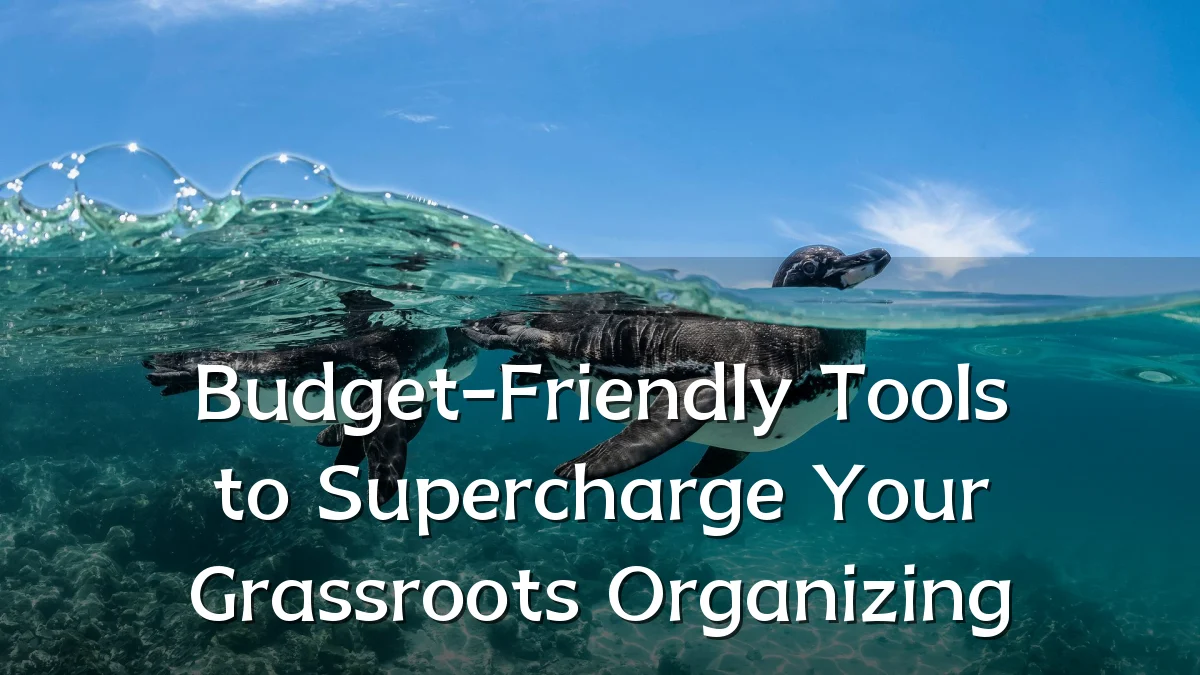 Budget-Friendly Tools to Supercharge Your Grassroots Organizing