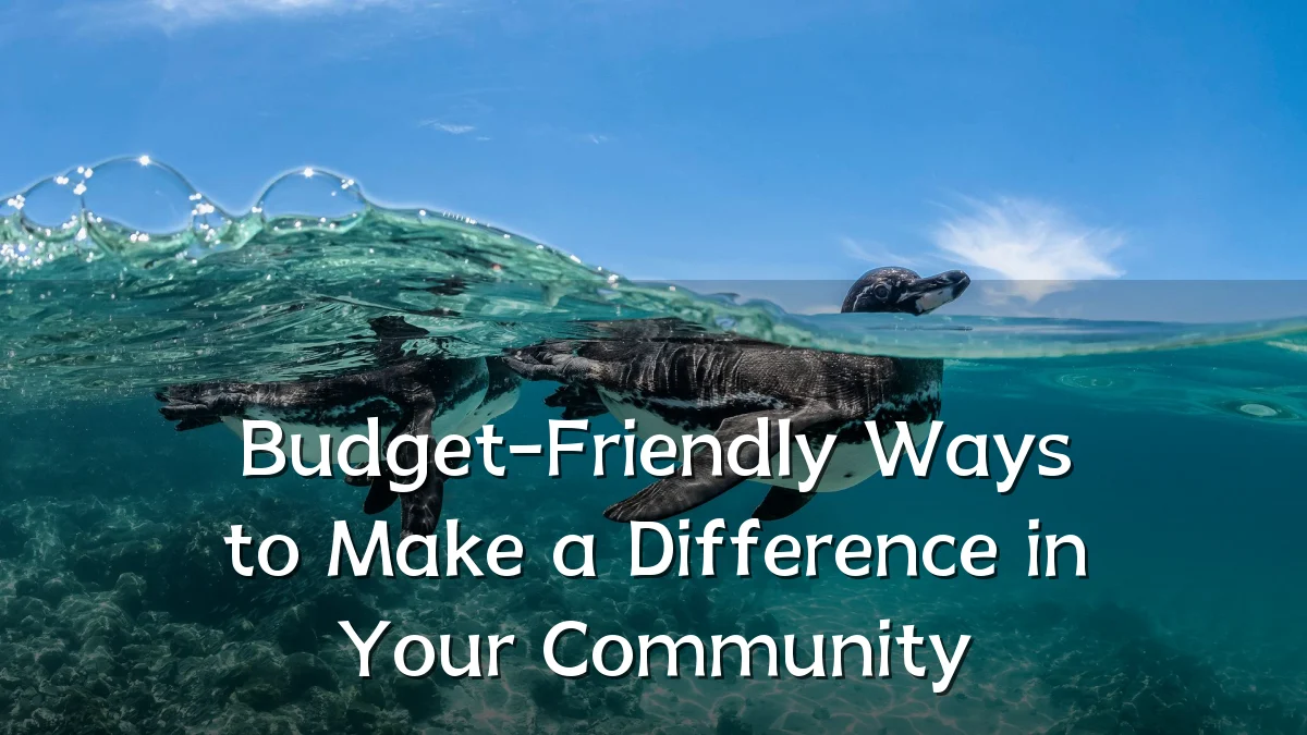 Budget-Friendly Ways to Make a Difference in Your Community