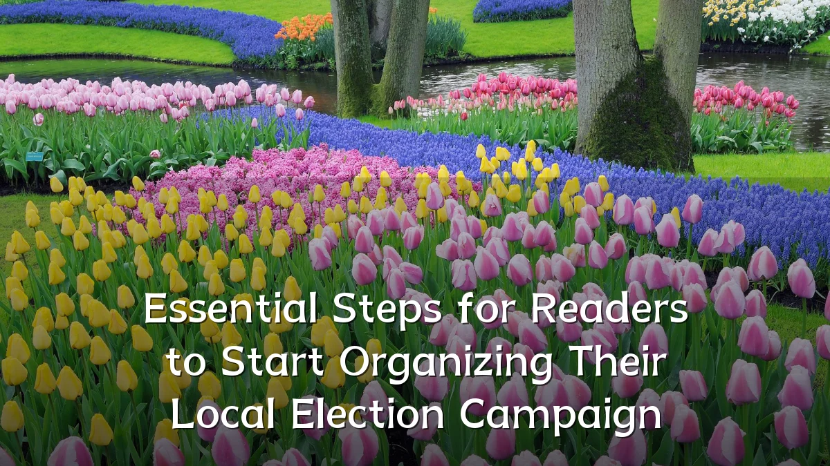 Essential Steps for Readers to Start Organizing Their Local Election Campaign