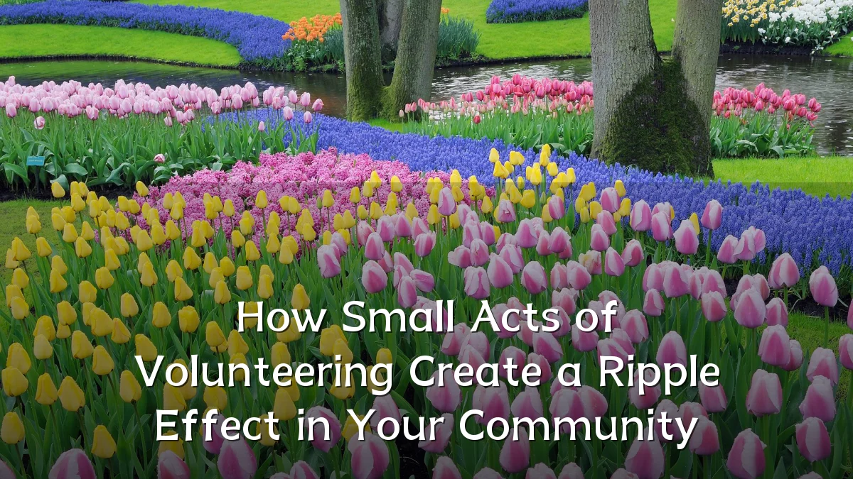 How Small Acts of Volunteering Create a Ripple Effect in Your Community