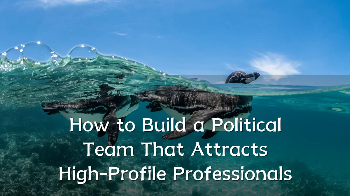 How to Build a Political Team That Attracts High-Profile Professionals