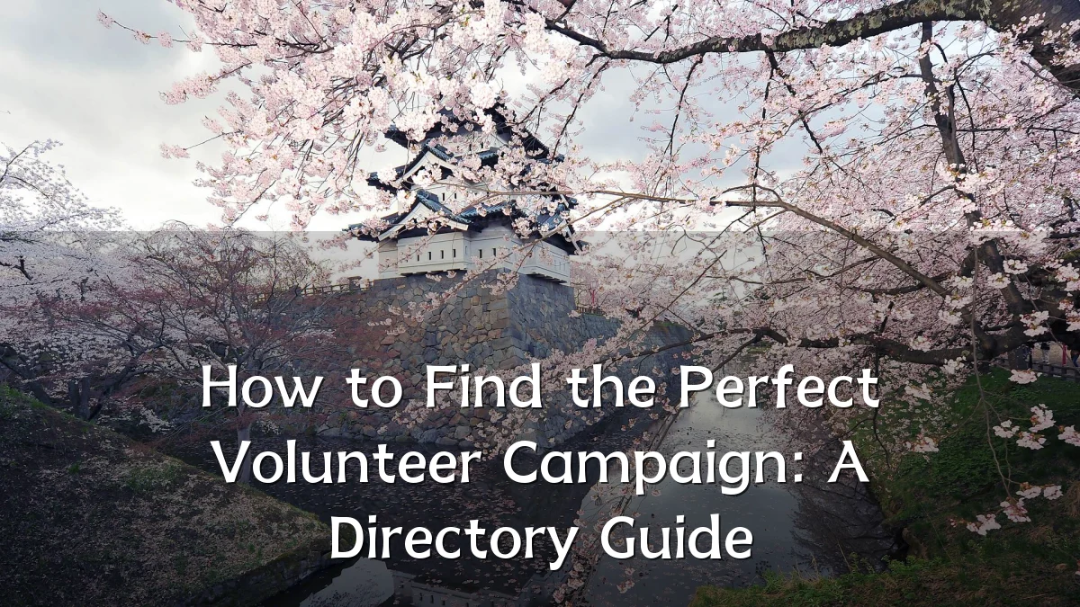 How to Find the Perfect Volunteer Campaign: A Directory Guide