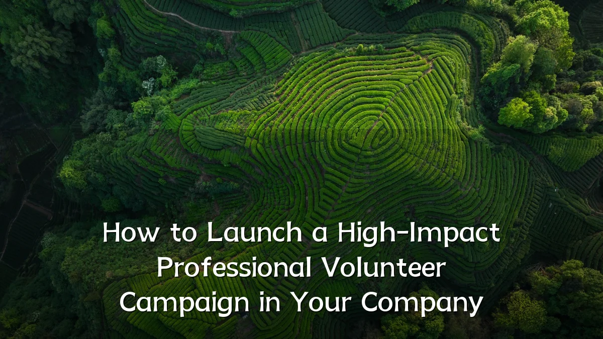 How to Launch a High-Impact Professional Volunteer Campaign in Your Company