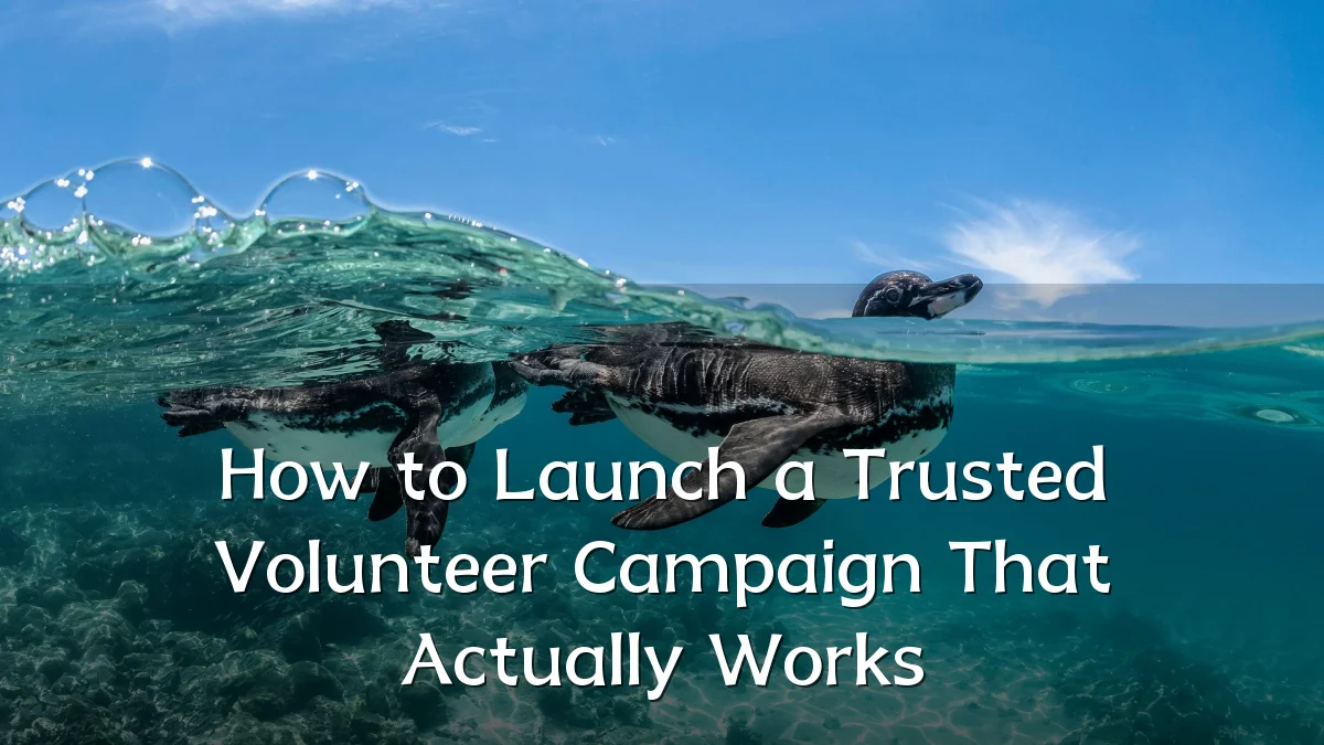 How to Launch a Trusted Volunteer Campaign That Actually Works