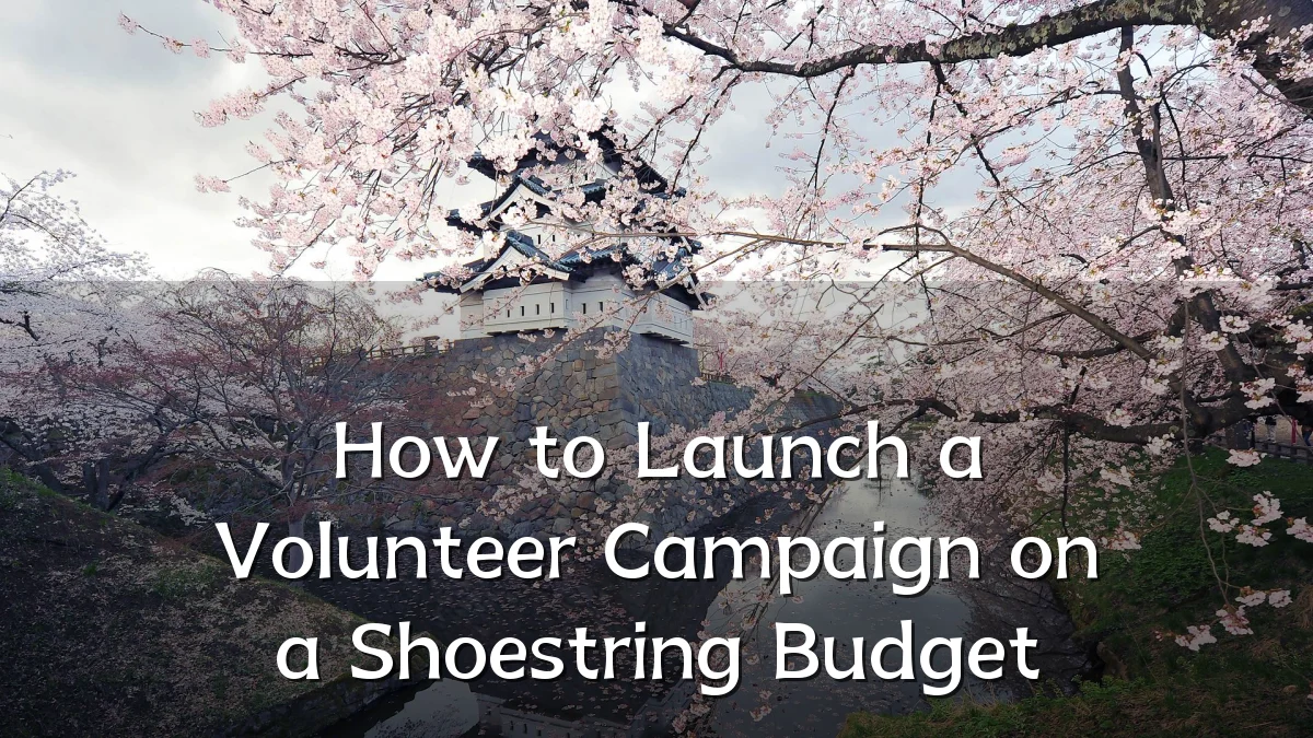 How to Launch a Volunteer Campaign on a Shoestring Budget