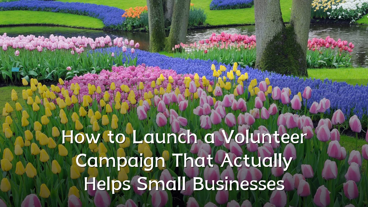 How to Launch a Volunteer Campaign That Actually Helps Small Businesses