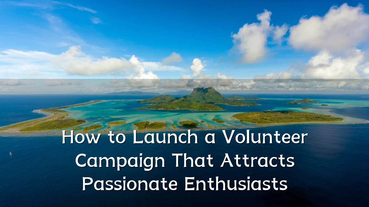 How to Launch a Volunteer Campaign That Attracts Passionate Enthusiasts