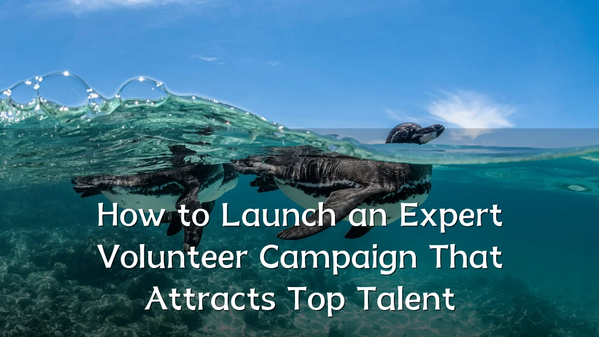 How to Launch an Expert Volunteer Campaign That Attracts Top Talent