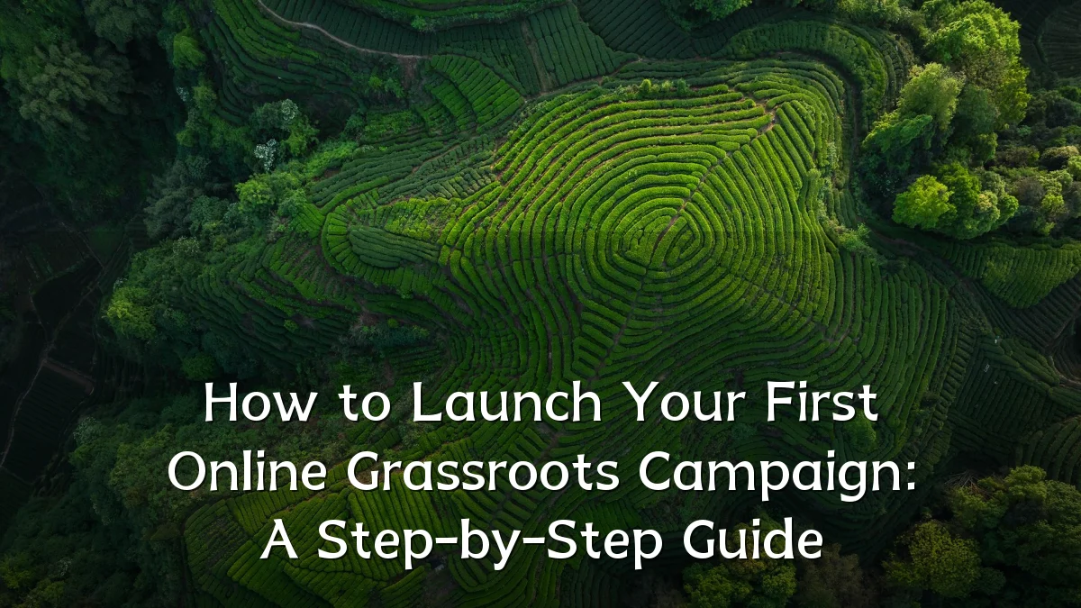 How to Launch Your First Online Grassroots Campaign: A Step-by-Step Guide