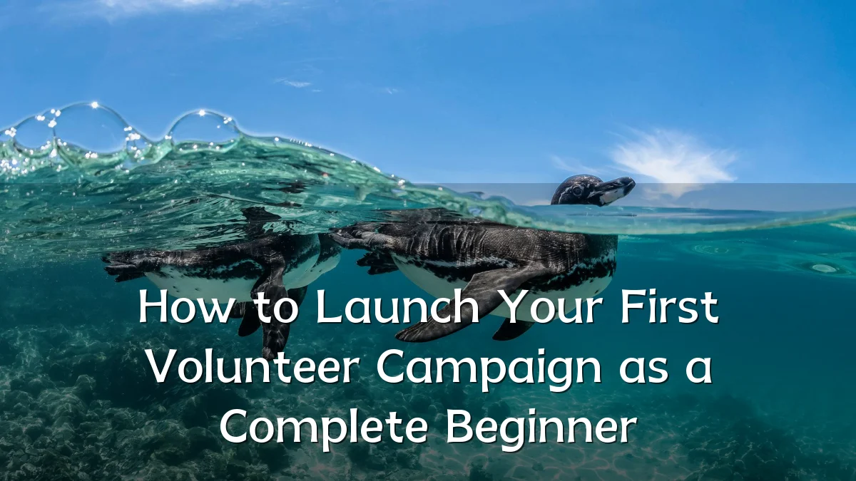 How to Launch Your First Volunteer Campaign as a Complete Beginner