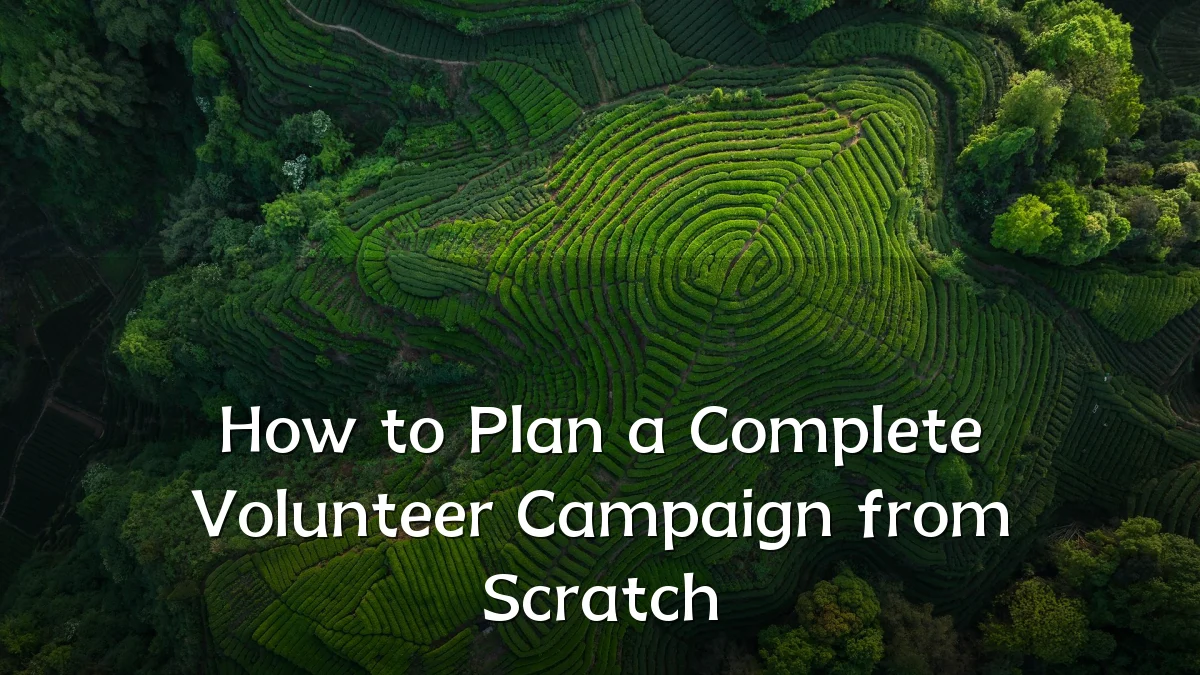 How to Plan a Complete Volunteer Campaign from Scratch