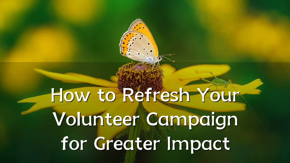 How to Refresh Your Volunteer Campaign for Greater Impact