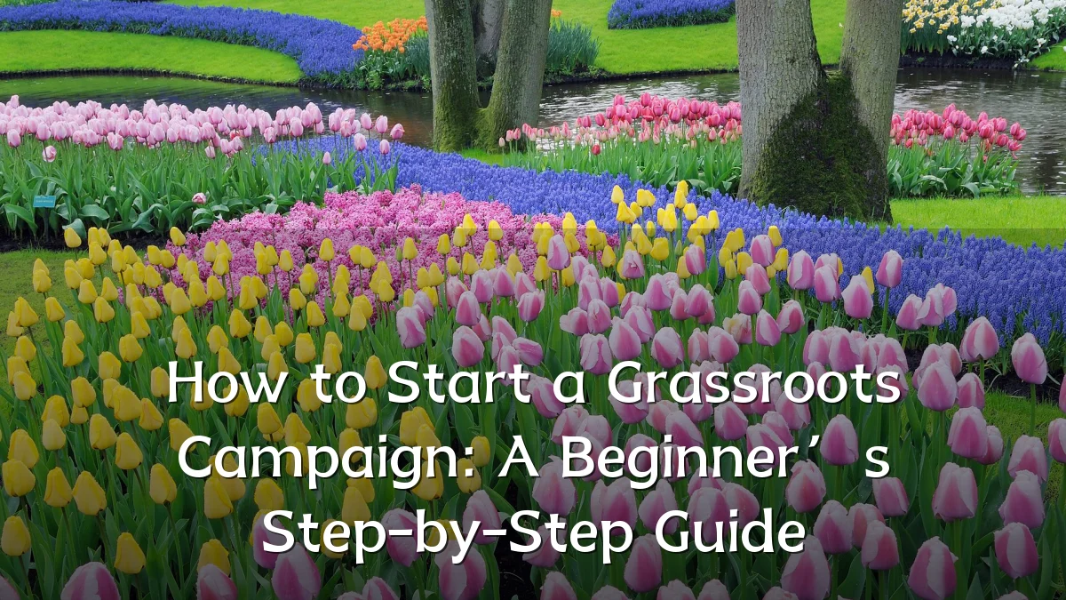 How to Start a Grassroots Campaign: A Beginner’s Step-by-Step Guide