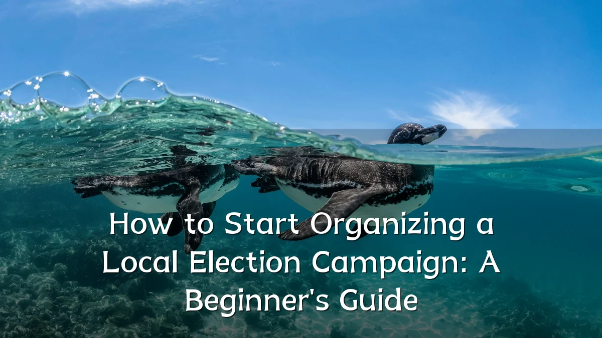 How to Start Organizing a Local Election Campaign: A Beginner's Guide