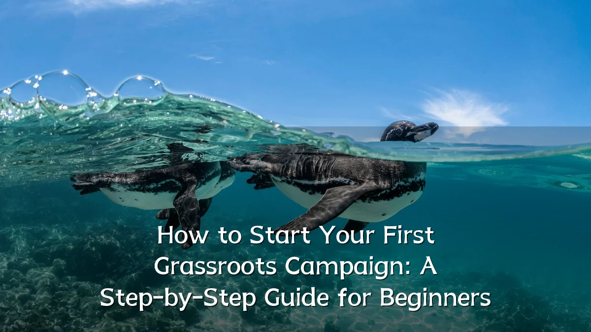 How to Start Your First Grassroots Campaign: A Step-by-Step Guide for Beginners