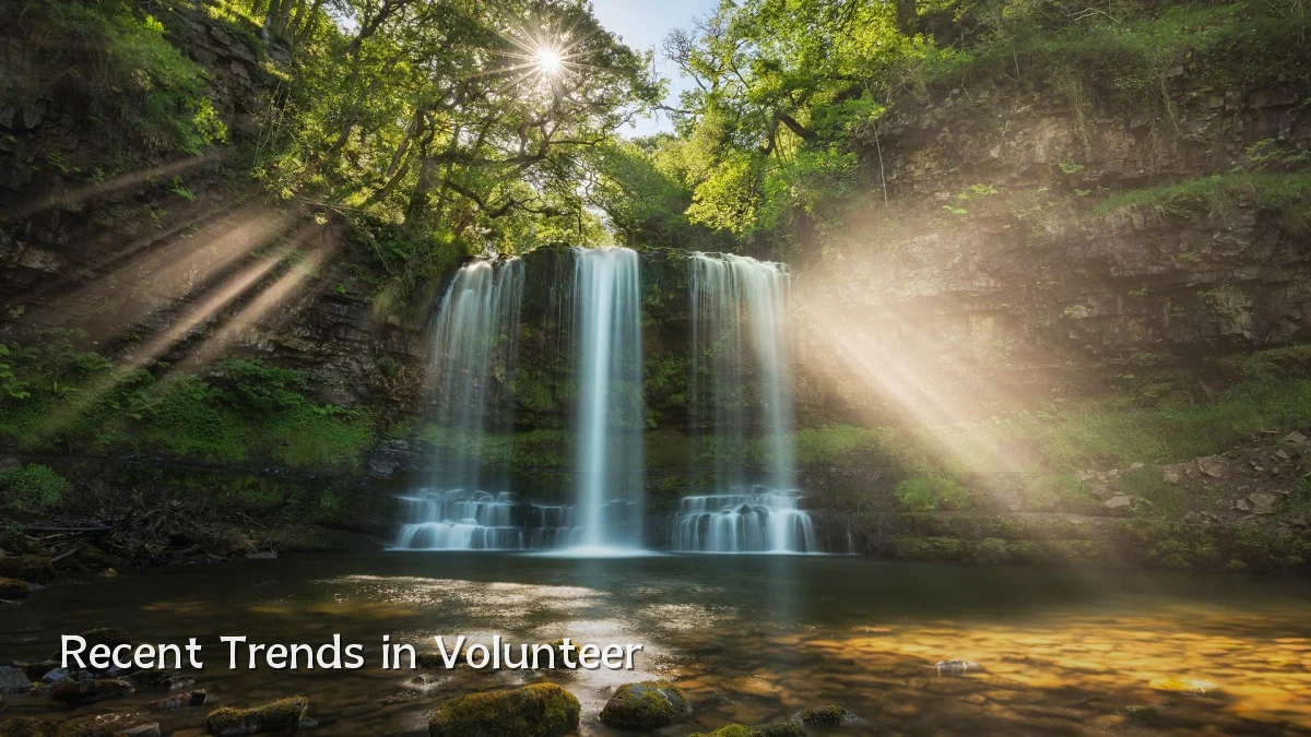 Recent Trends in Volunteer