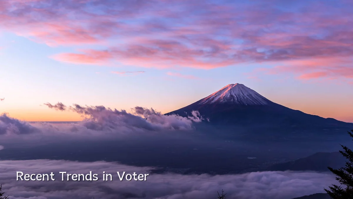 Recent Trends in Voter