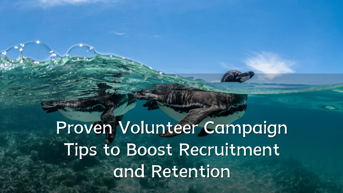 Proven Volunteer Campaign Tips to Boost Recruitment and Retention
