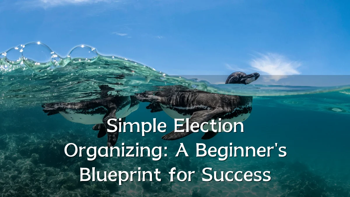 Simple Election Organizing: A Beginner's Blueprint for Success