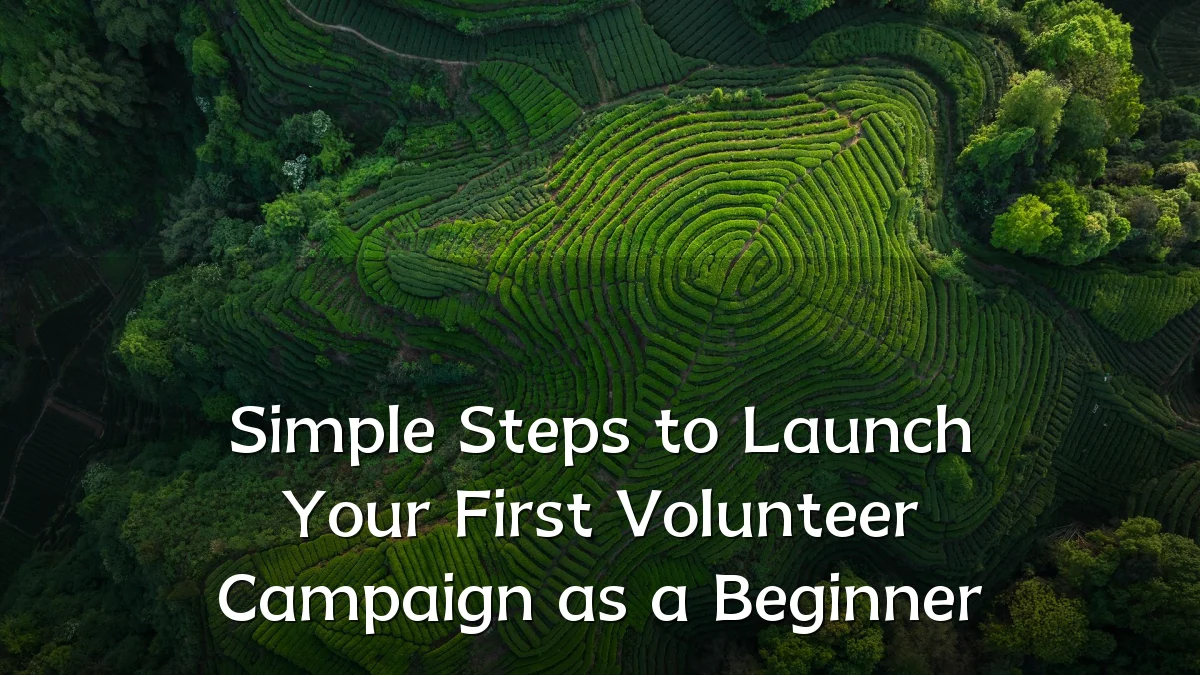 Simple Steps to Launch Your First Volunteer Campaign as a Beginner