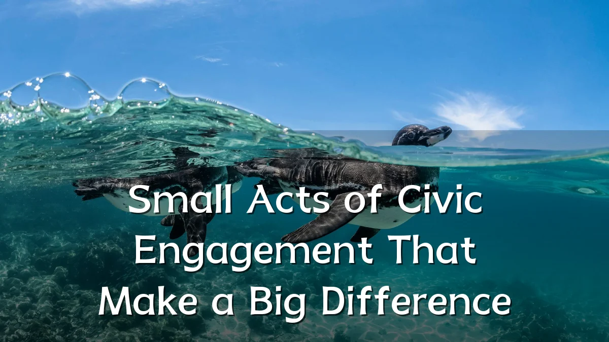 Small Acts of Civic Engagement That Make a Big Difference