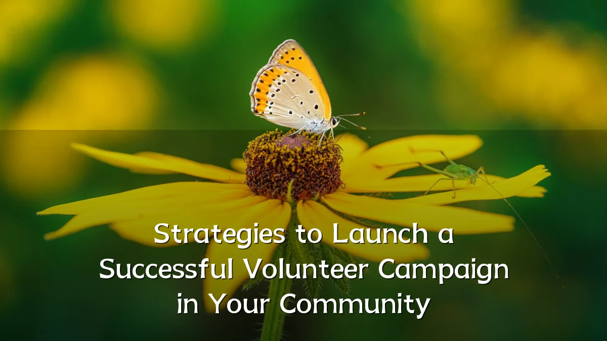 Strategies to Launch a Successful Volunteer Campaign in Your Community
