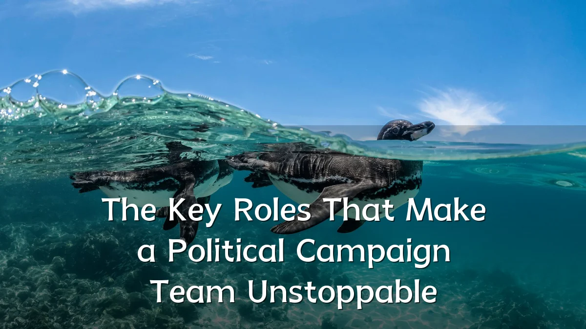 The Key Roles That Make a Political Campaign Team Unstoppable