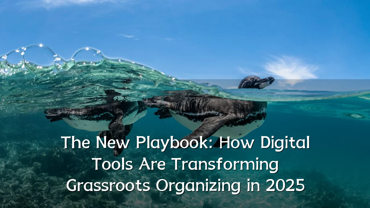 The New Playbook: How Digital Tools Are Transforming Grassroots Organizing in 2025