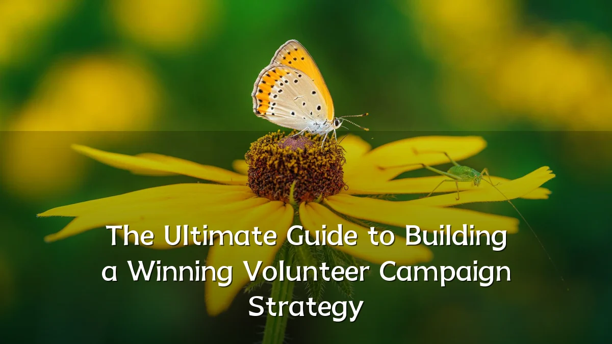 The Ultimate Guide to Building a Winning Volunteer Campaign Strategy