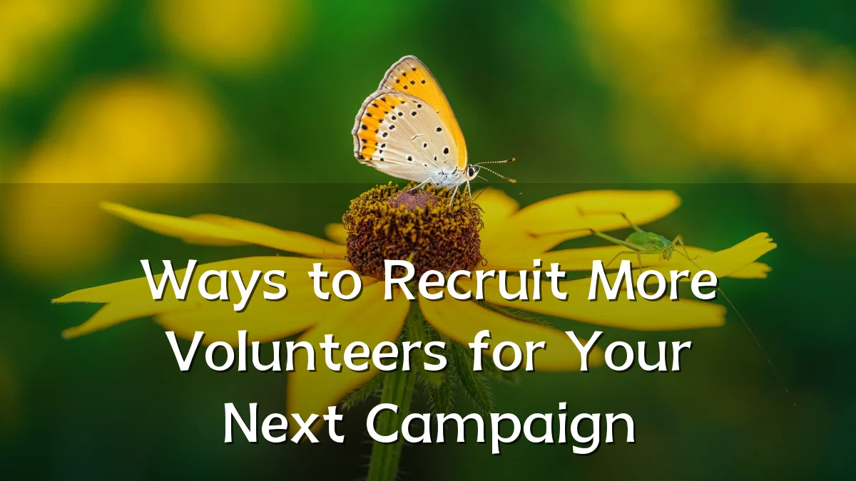 Ways to Recruit More Volunteers for Your Next Campaign