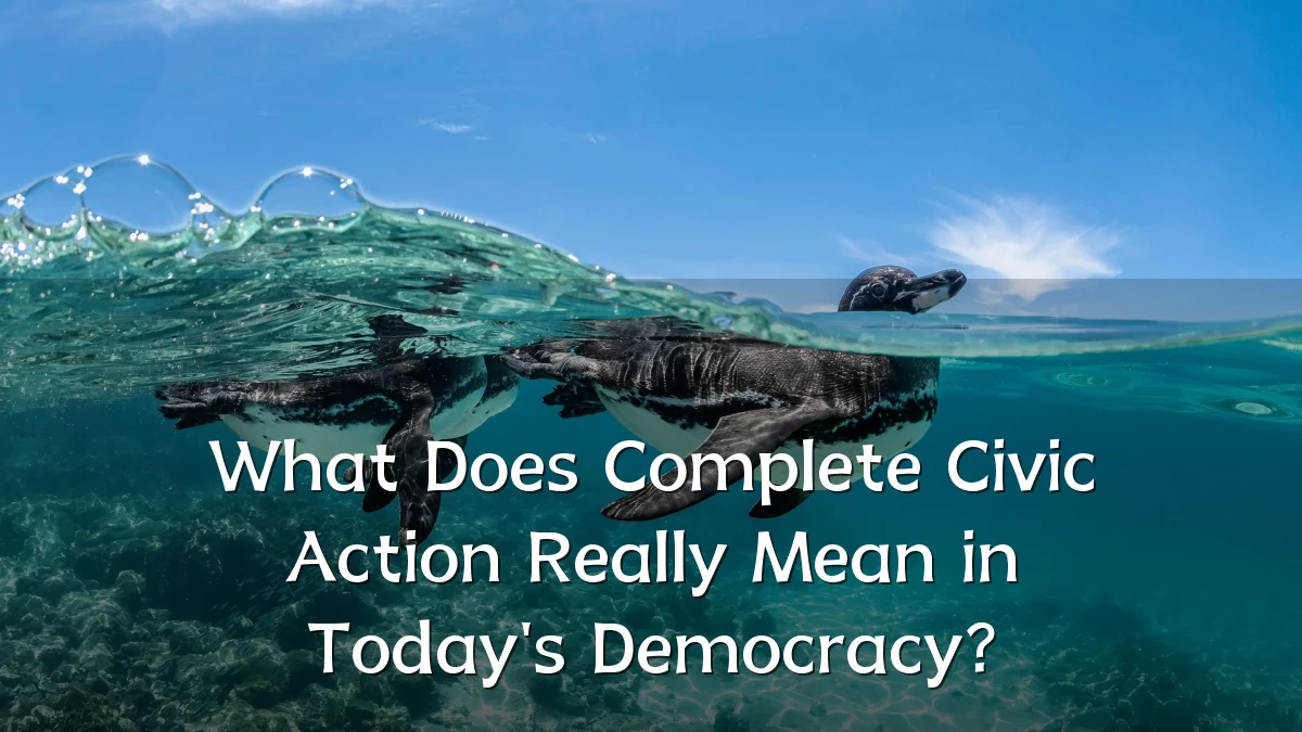 What Does Complete Civic Action Really Mean in Today's Democracy?
