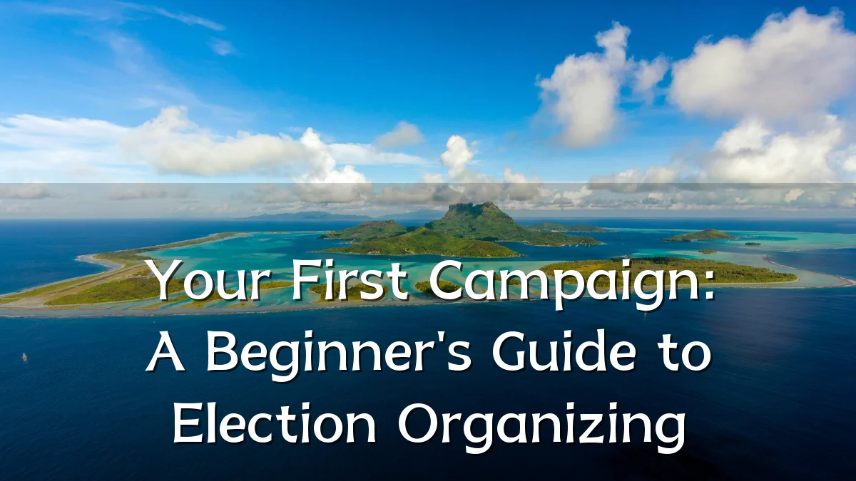 Your First Campaign: A Beginner's Guide to Election Organizing