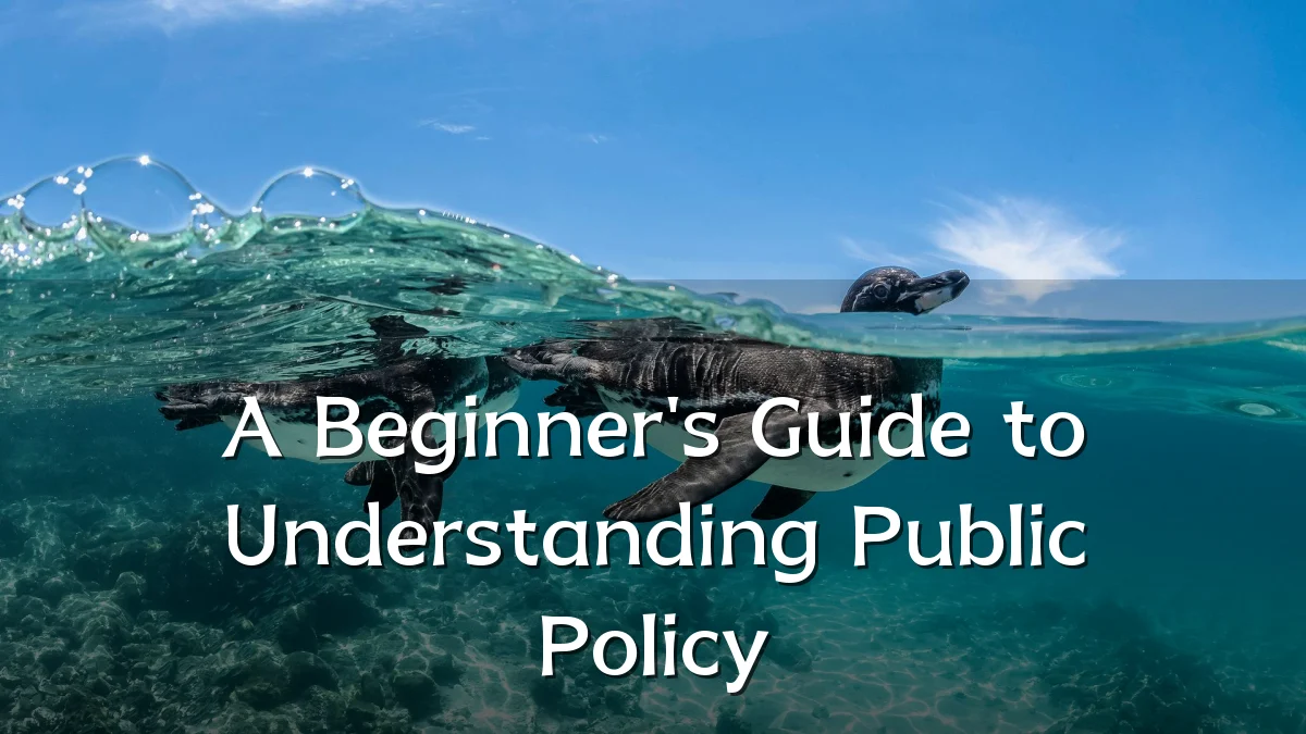 A Beginner's Guide to Understanding Public Policy