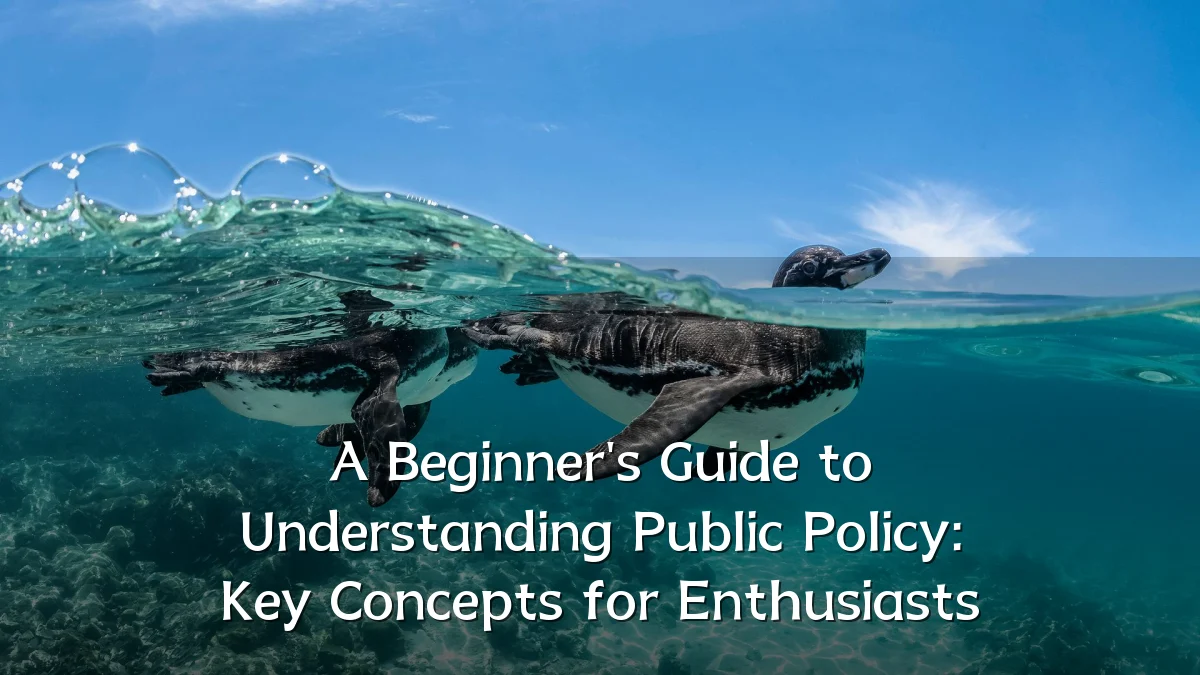 A Beginner's Guide to Understanding Public Policy: Key Concepts for Enthusiasts