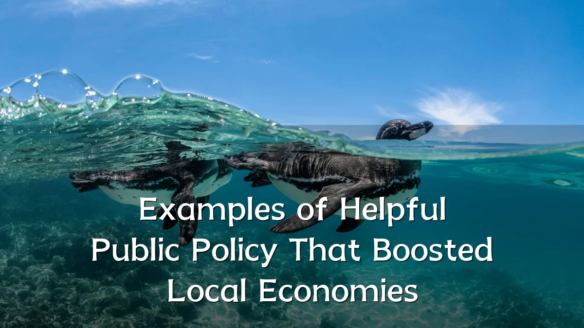 Examples of Helpful Public Policy That Boosted Local Economies