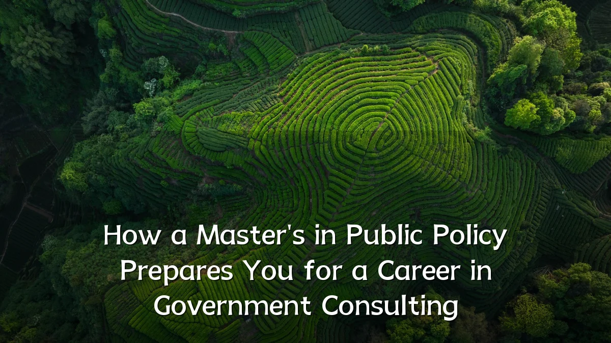 How a Master's in Public Policy Prepares You for a Career in Government Consulting