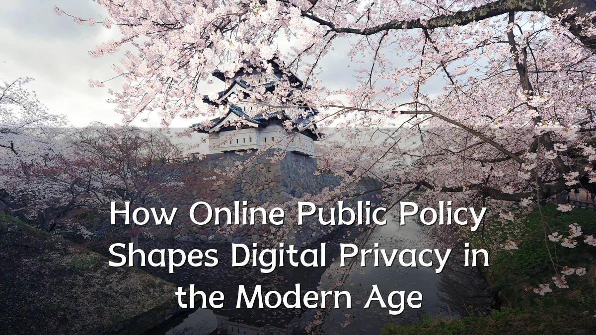 How Online Public Policy Shapes Digital Privacy in the Modern Age
