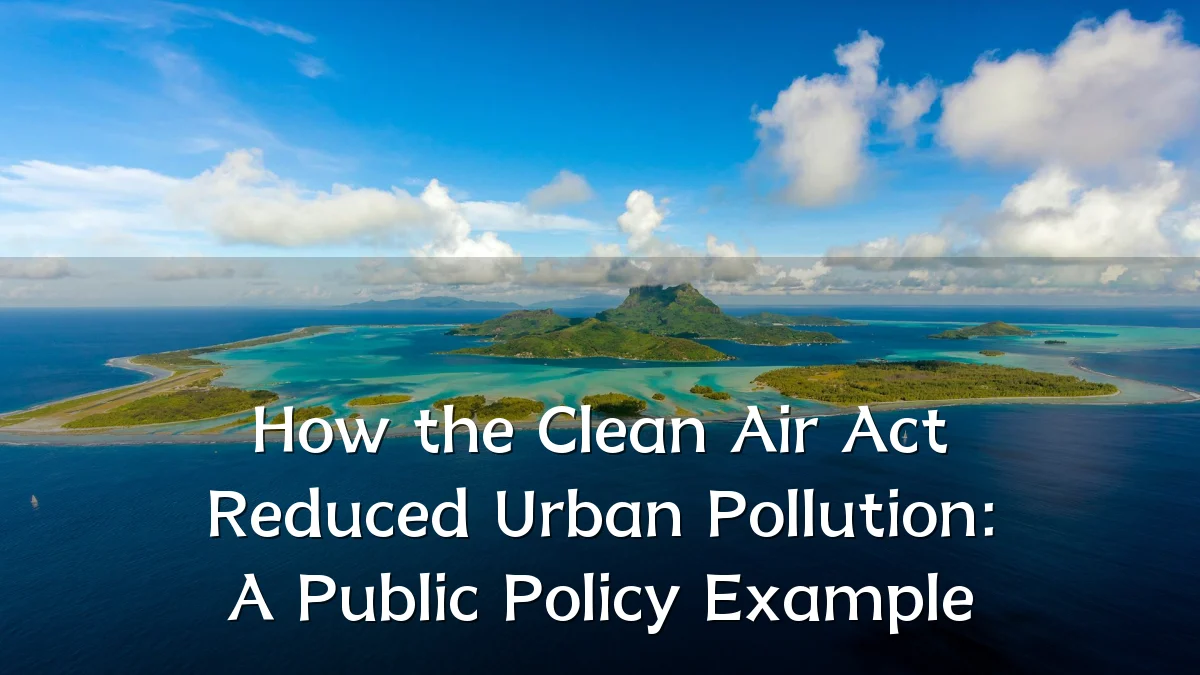 How the Clean Air Act Reduced Urban Pollution: A Public Policy Example