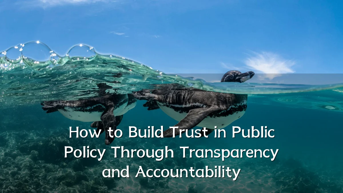 How to Build Trust in Public Policy Through Transparency and Accountability