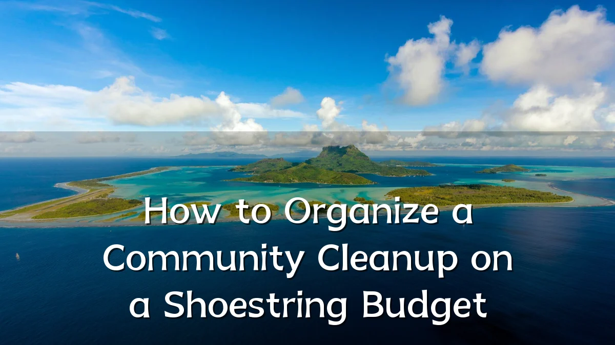 How to Organize a Community Cleanup on a Shoestring Budget