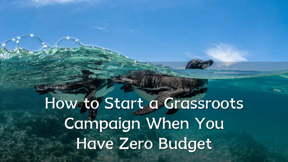 How to Start a Grassroots Campaign When You Have Zero Budget