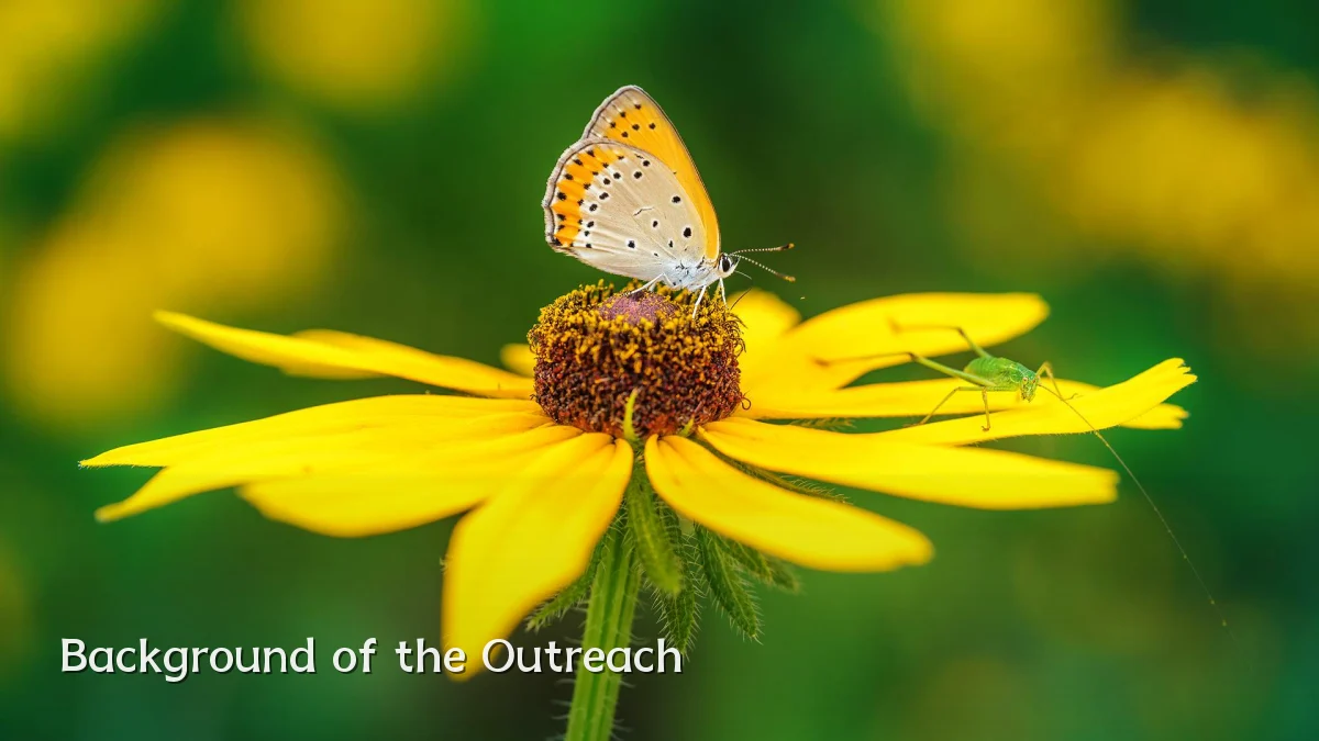 Background of the Outreach