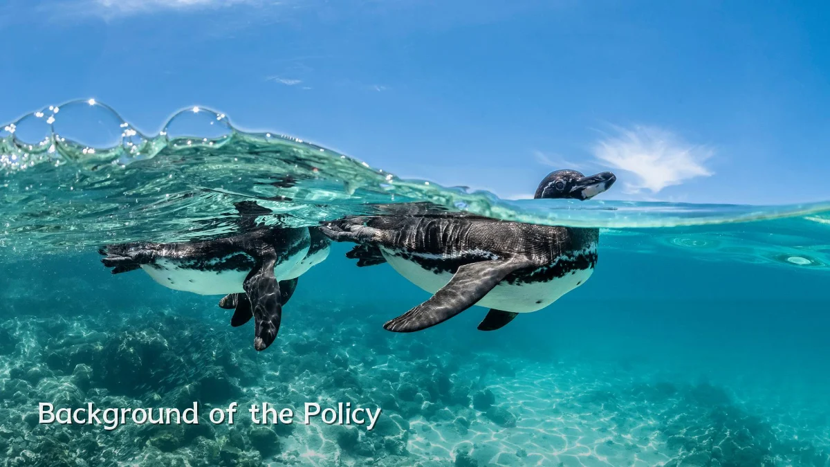 Background of the Policy