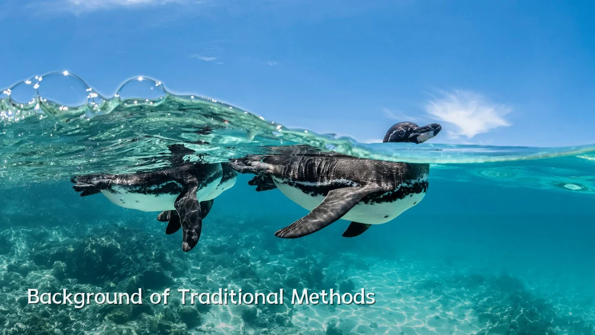 Background of Traditional Methods