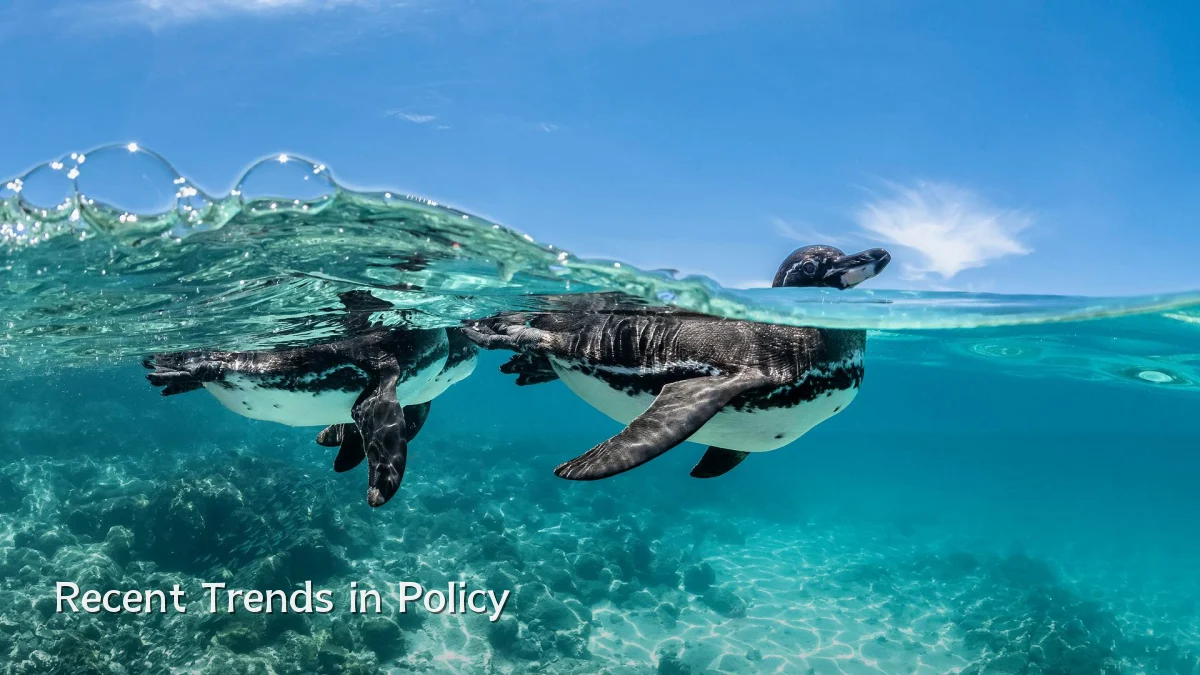 Recent Trends in Policy