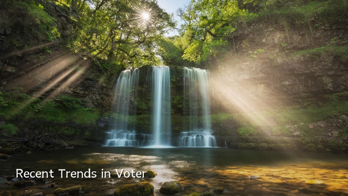 Recent Trends in Voter