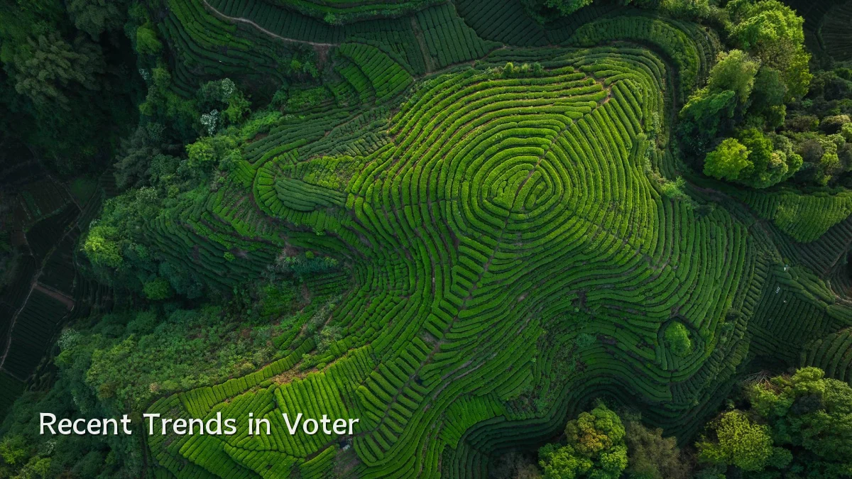 Recent Trends in Voter