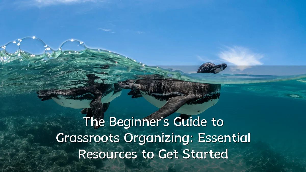 The Beginner's Guide to Grassroots Organizing: Essential Resources to Get Started